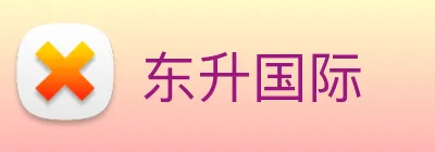 东升国际 logo
